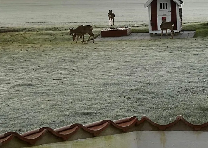 Historic Farm With Church View Near Randers Σπίτι διακοπών
